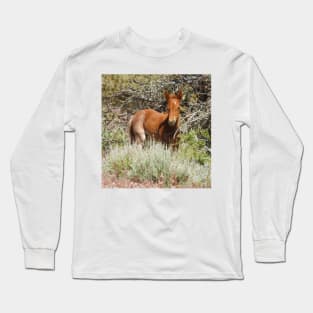 Wild Horse, foal, wildlife, Precious Babe Long Sleeve T-Shirt